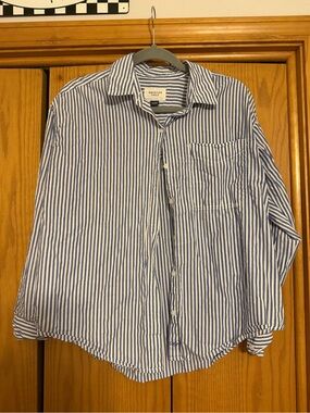 American Eagle Outfitters Blue and White Striped Button-Down Shirt